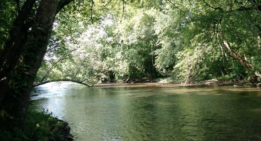 Martin's Mill Park