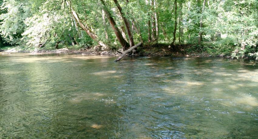 Martin's Mill Park