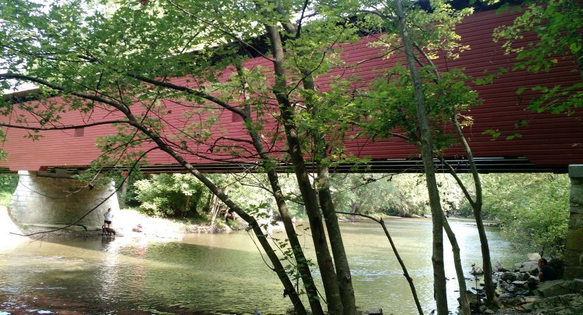 Martin's Mill Covered Bridge