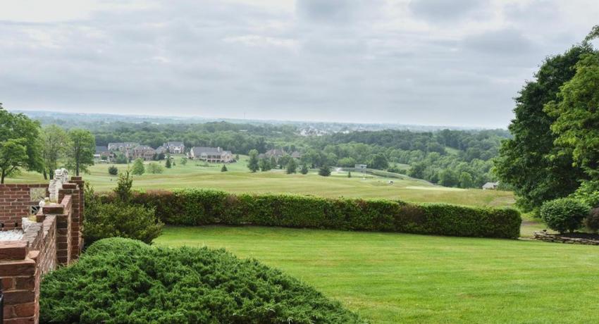 A Backyard View